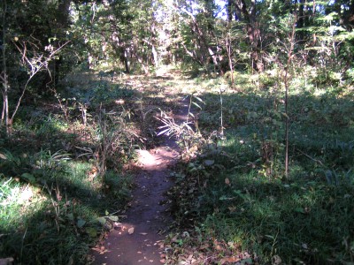 c0112172_09832.jpg