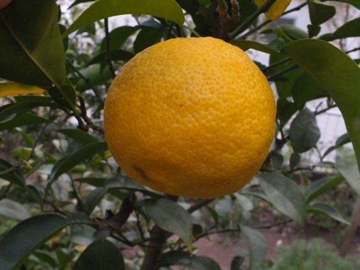b0214473_17103399.jpg