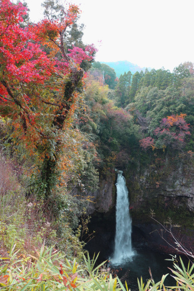 b0224178_17141451.jpg