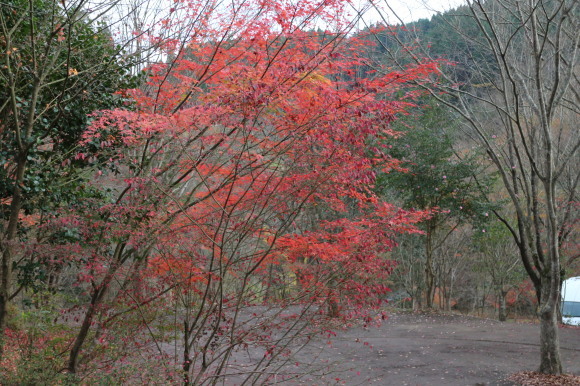 b0224178_17175105.jpg