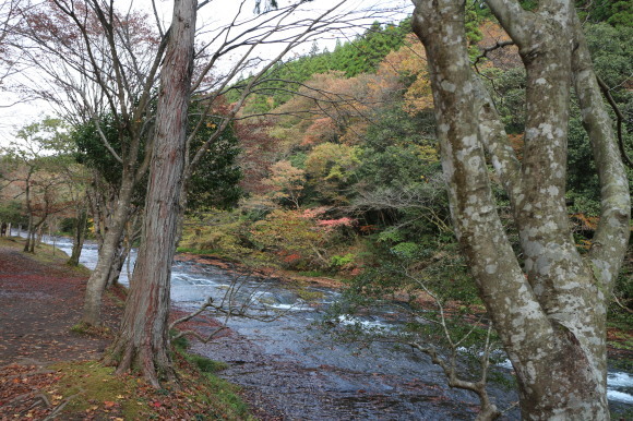b0224178_17175667.jpg