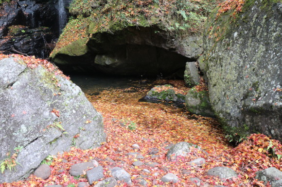 b0224178_17201334.jpg