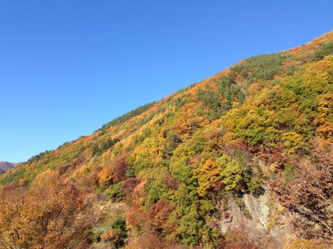 f0129390_23274898.jpg
