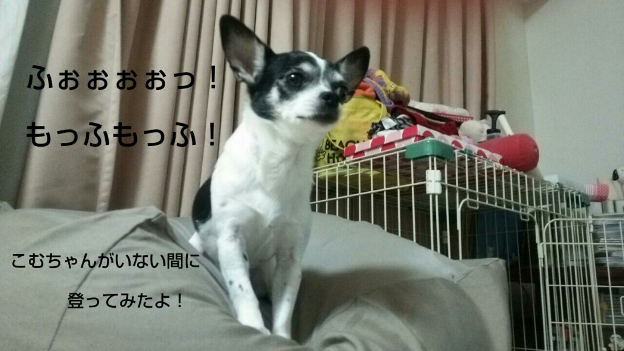 c0109891_07103359.jpg