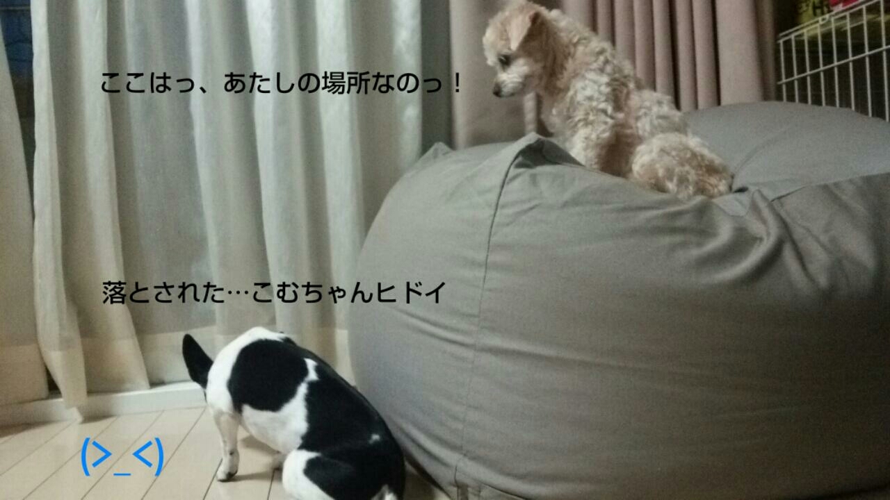 c0109891_07103775.jpg