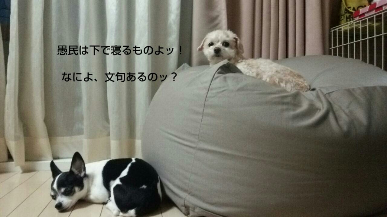 c0109891_07103942.jpg