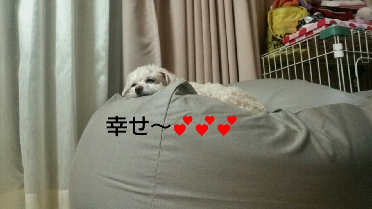 c0109891_07104023.jpg