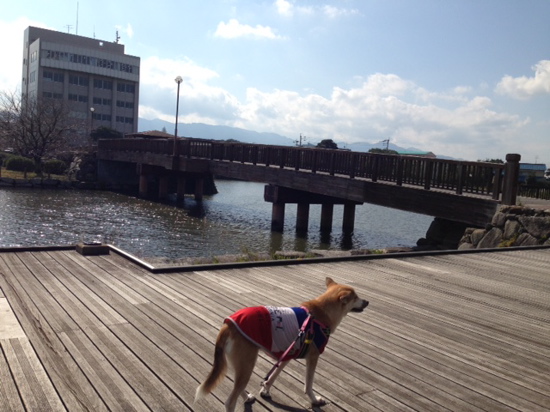 糸島外食日記_f0232994_3345653.jpg