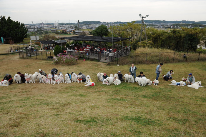 第10回 中部サモエドオフ会 part3_a0049296_18482185.jpg