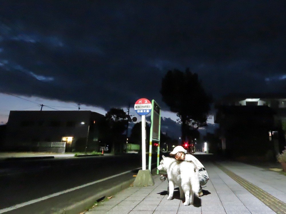 暗い朝~明るくいこう! (^o^)_c0049299_22244920.jpg