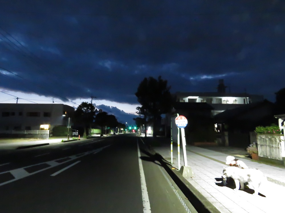 暗い朝~明るくいこう! (^o^)_c0049299_22261272.jpg