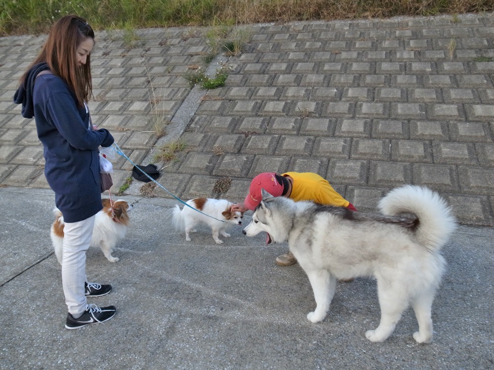 暗い朝~明るくいこう! (^o^)_c0049299_22315418.jpg
