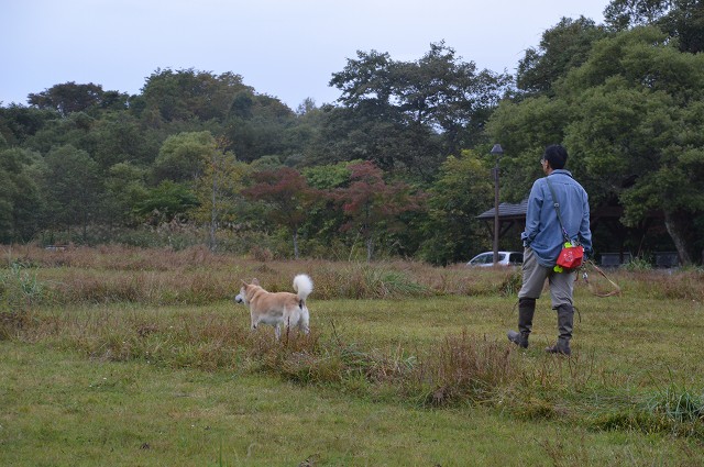 裏磐梯2013 ハチさんとキャンプ_c0124100_021029.jpg