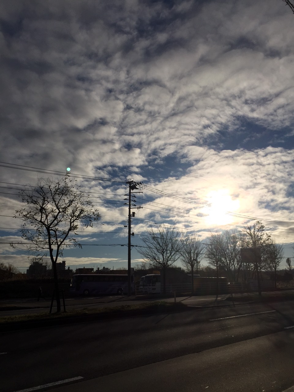 a0284101_755840.jpg
