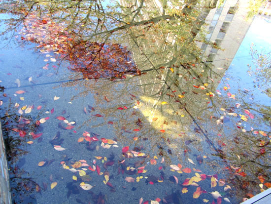 秋の池のきれいな絵 のんびり街さんぽ