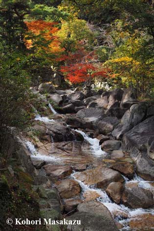 湯の山へ_b0171104_16483029.jpg