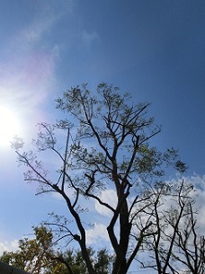 c0028304_102695.jpg