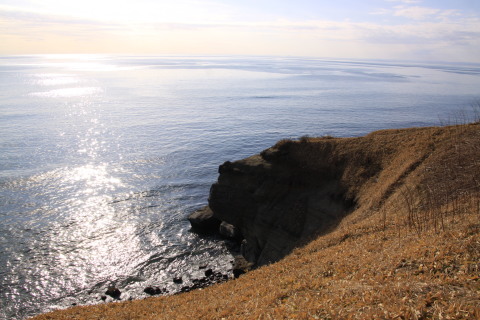 b0292308_23035313.jpg