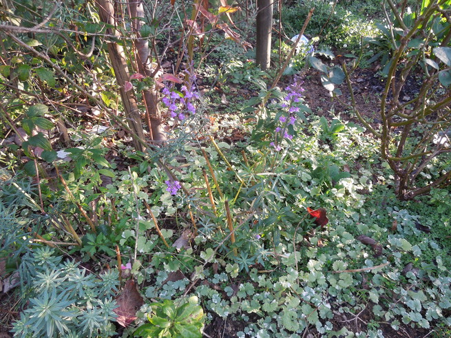 f0297809_2330543.jpg