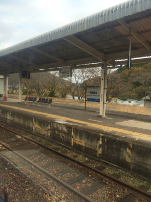 錦秋の特別列車とローカル列車〜後編_c0291710_23044222.jpg