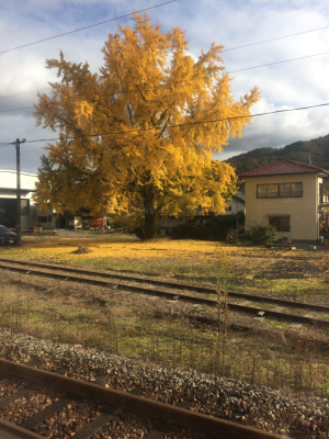 錦秋の特別列車とローカル列車〜後編_c0291710_23044292.jpg