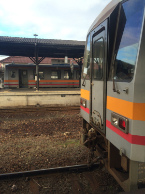 錦秋の特別列車とローカル列車〜後編_c0291710_23044365.jpg