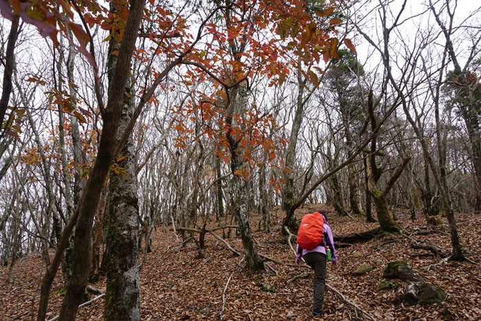 e0077010_2144257.jpg