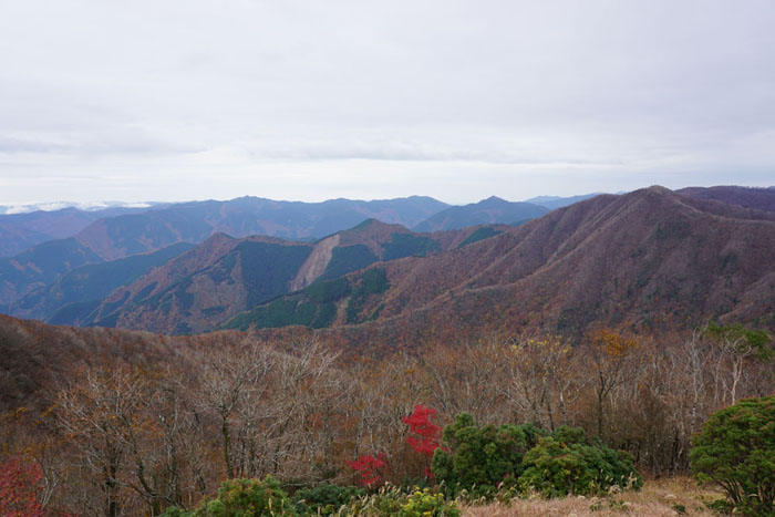e0077010_21454880.jpg