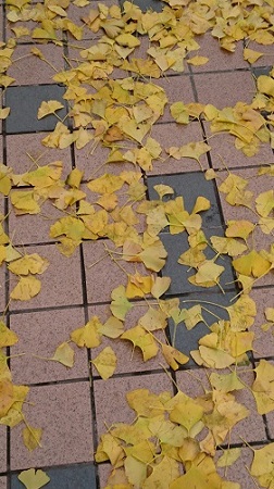 c0200413_1214113.jpg