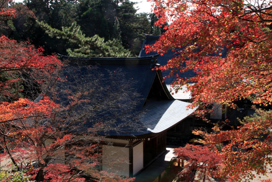 紅葉だより7　神護寺_e0048413_19534116.jpg