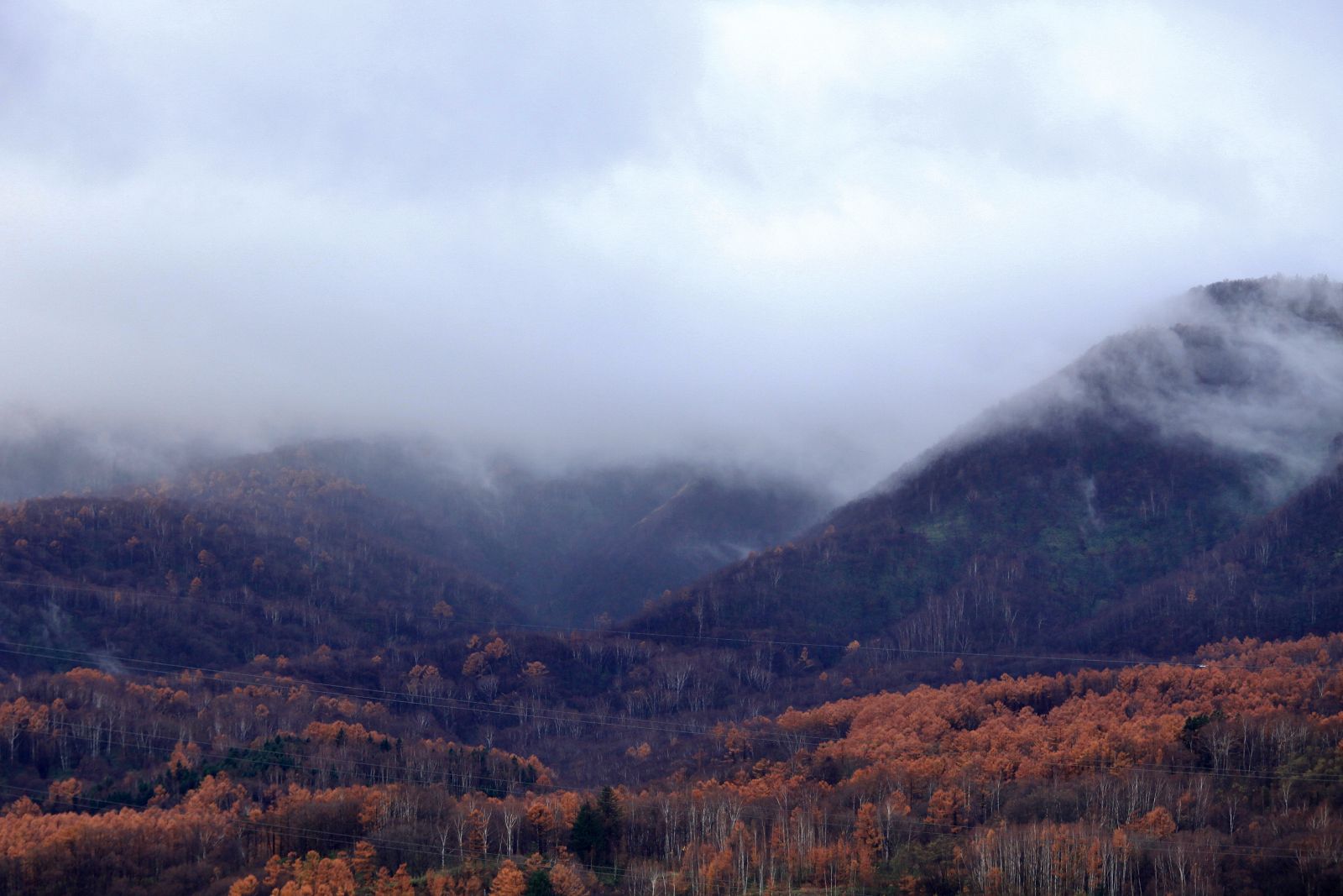 c0367515_9392364.jpg