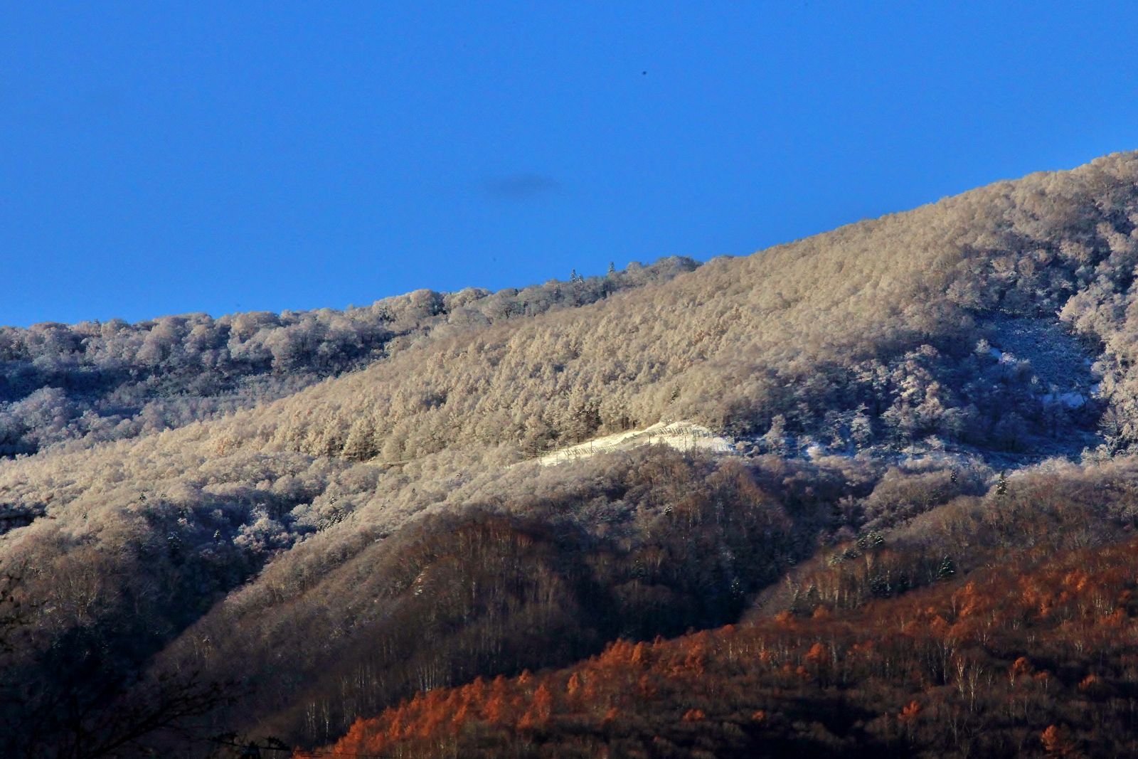 c0367515_9393262.jpg