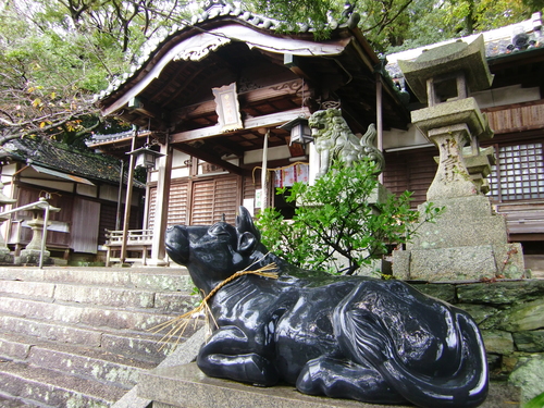 黒江の町並み（和歌山県海南市）_c0219820_23433775.jpg