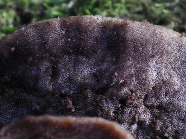 e0352220_01003252.jpg
