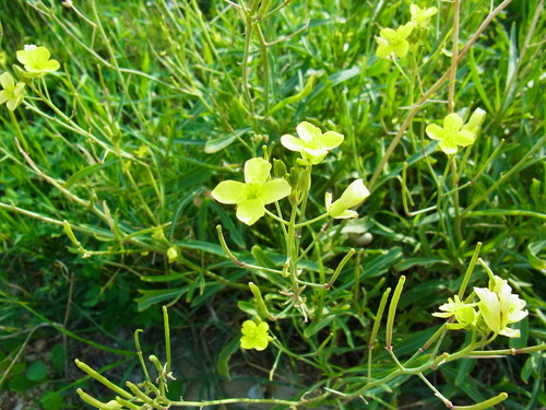 c0086221_1932475.jpg