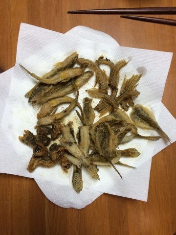 e0346623_20120558.jpeg