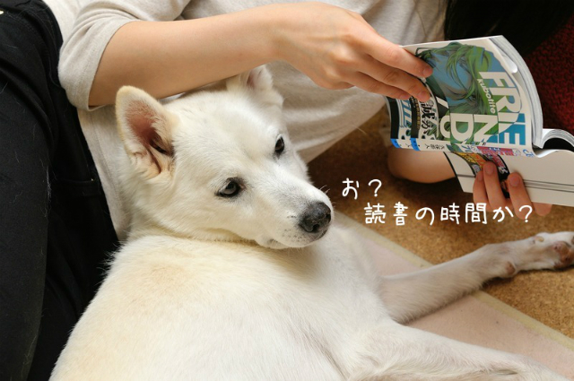 それを言っちゃあおしまいよ レオとジュリの毎日 それを言っちゃあおしまいよ レオとジュリの毎日