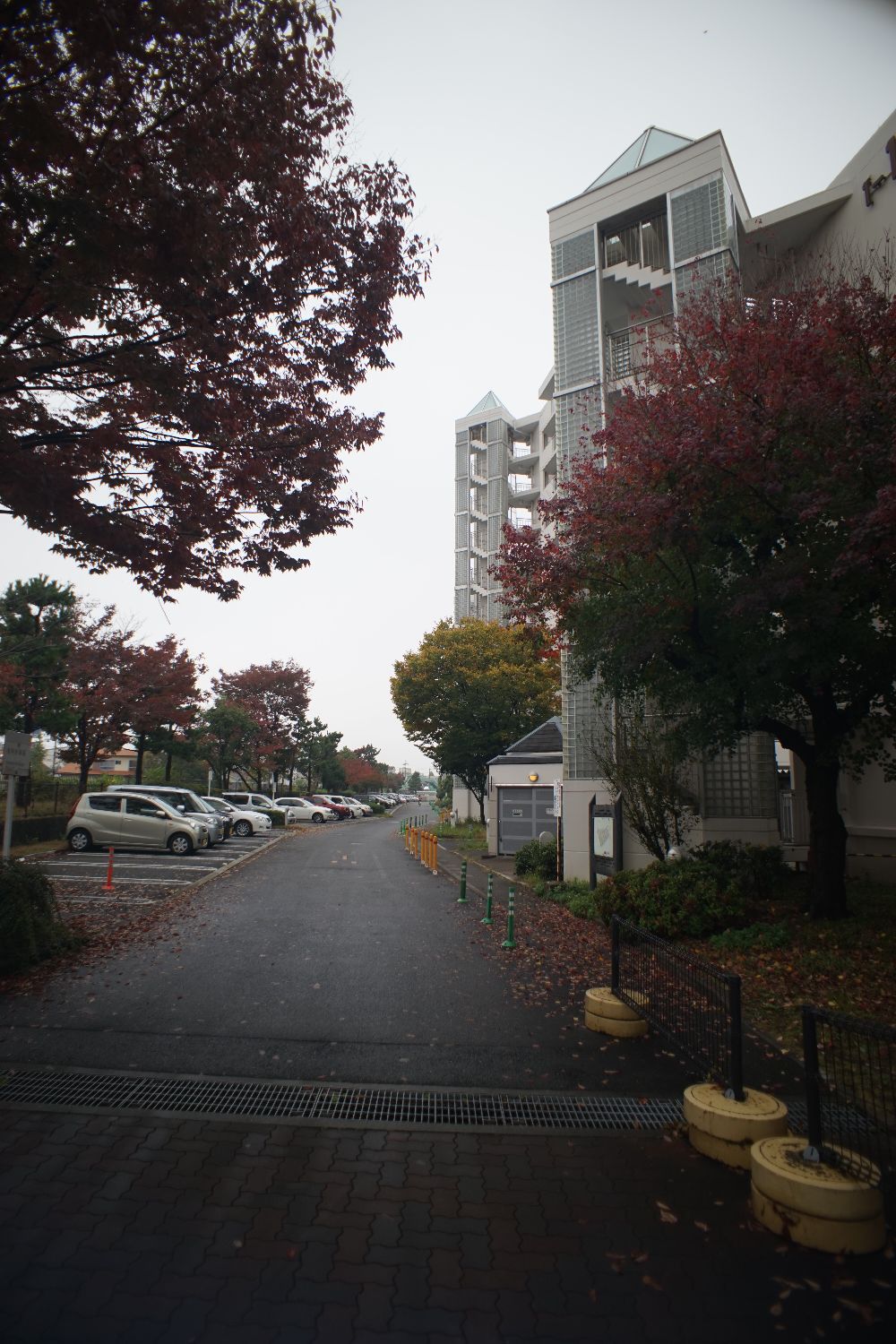 b0069128_1025137.jpg