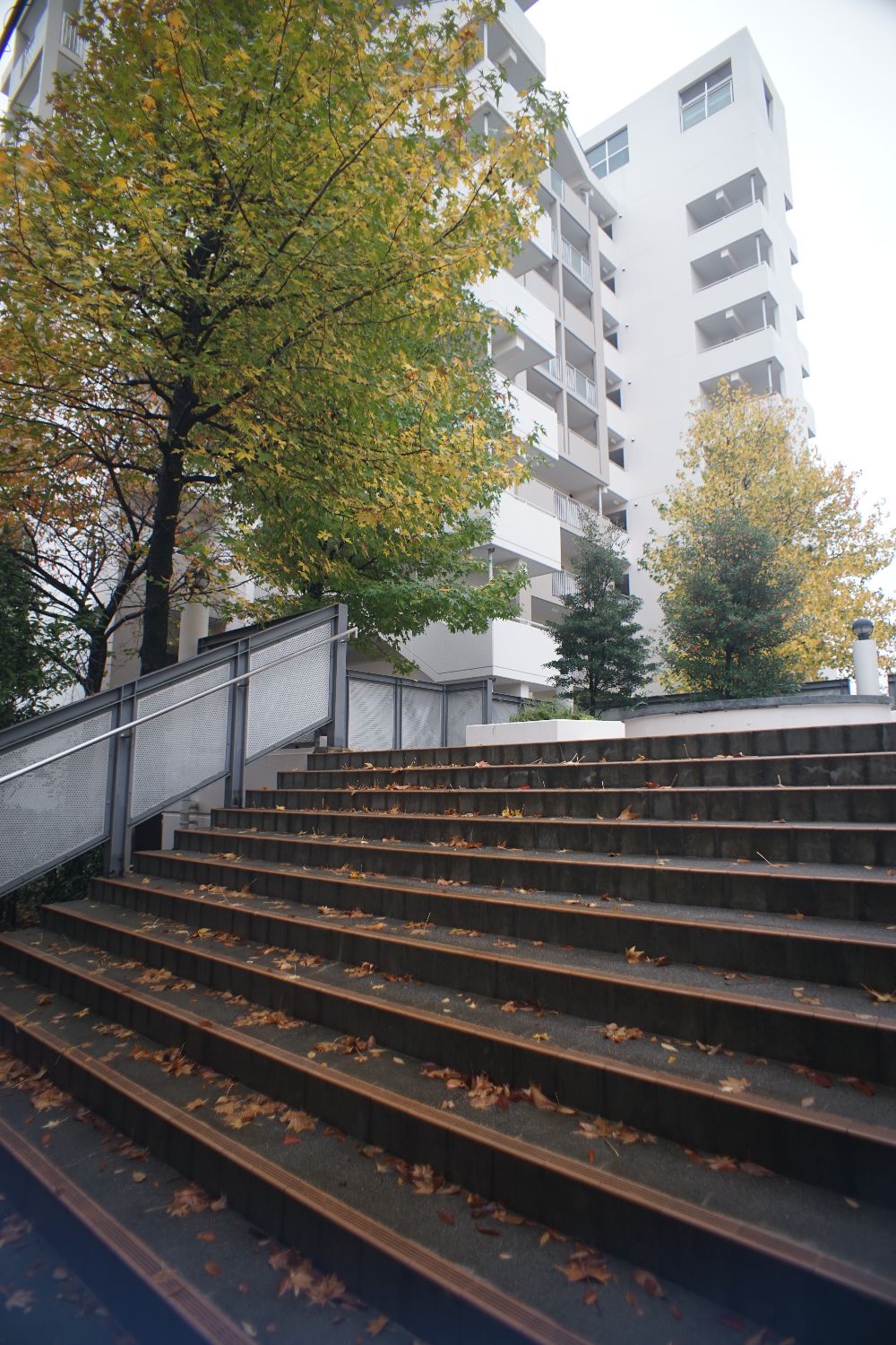 b0069128_1081654.jpg