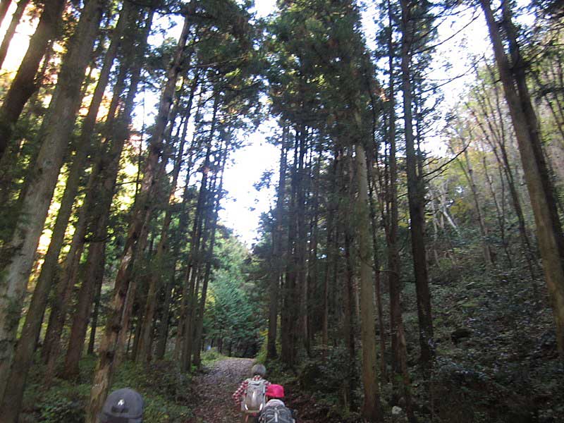 西上州の岩峰　じい岩　ばば岩から高石峠。_d0000031_14413262.jpg