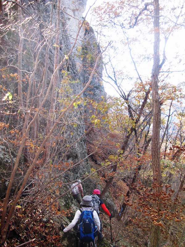 西上州の岩峰　じい岩　ばば岩から高石峠。_d0000031_14481515.jpg