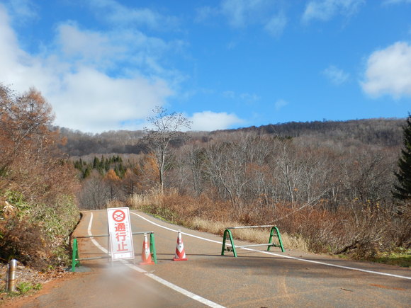 f0118332_23403384.jpg