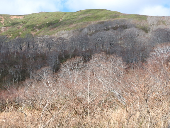 f0118332_23513480.jpg