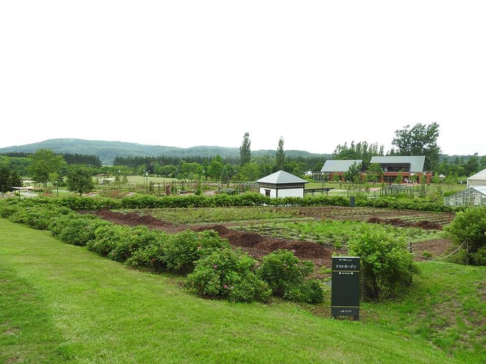 いわみざわ公園(バラ園)／岩見沢市_c0319645_22452150.jpg