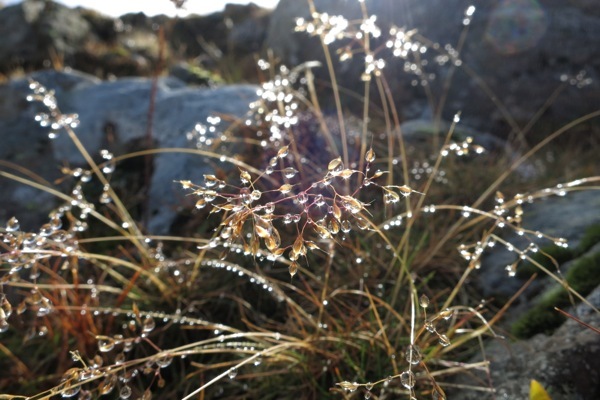 e0356046_04160512.jpg