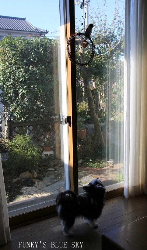 c0145250_11225641.jpg