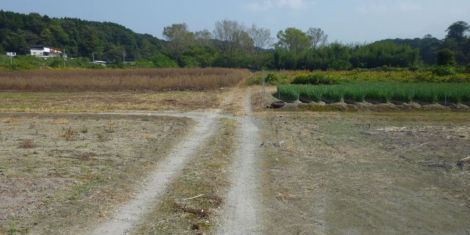 大山道を歩く（尾高道）_b0156456_18124822.jpg