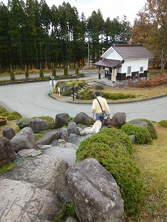 a0165160_08595175.jpg