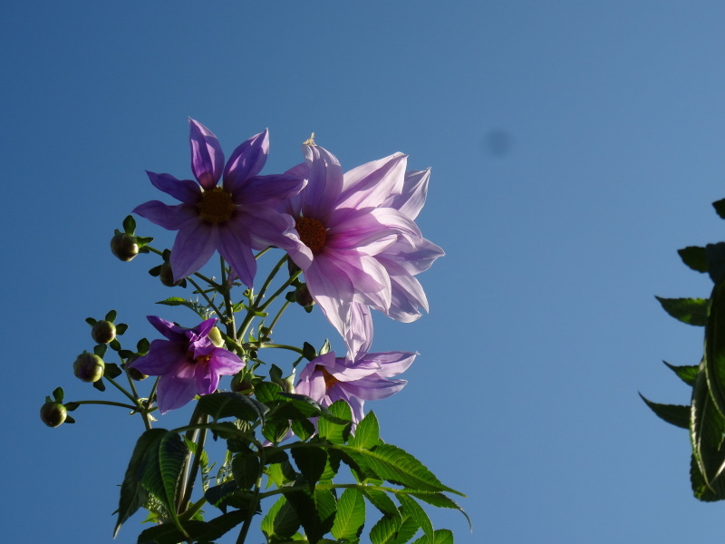 c0108460_22160318.jpg