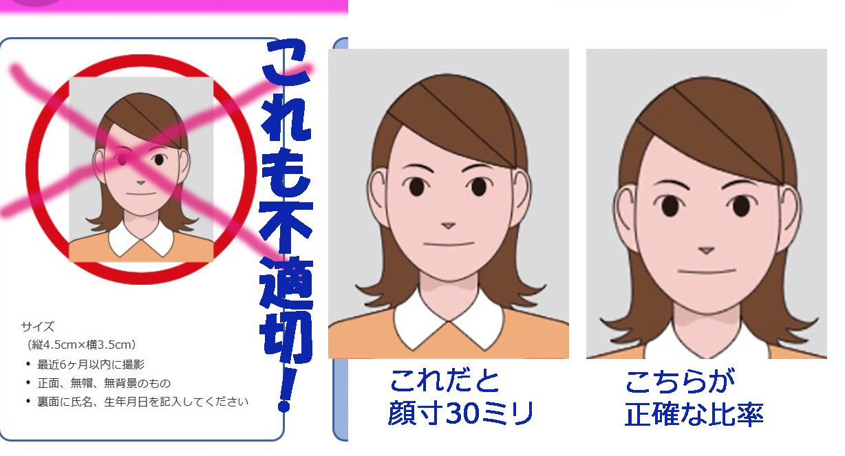 マイナンバーすでに破たん パスポートの顔はでかいなあ 新 土佐日記